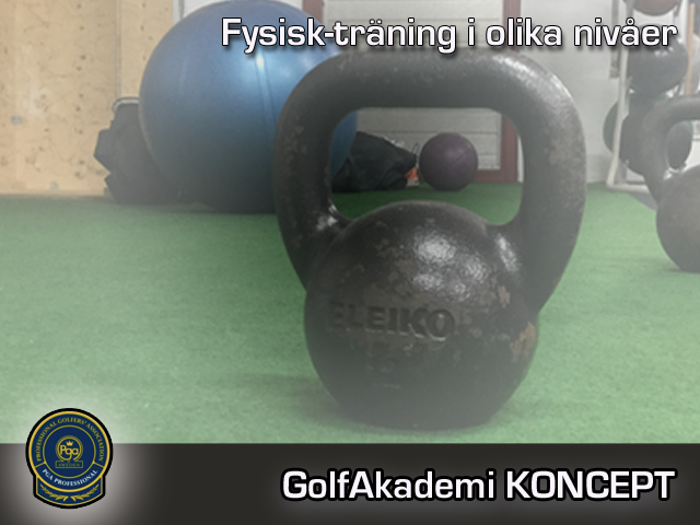 Fysisk träning i olika nivåer